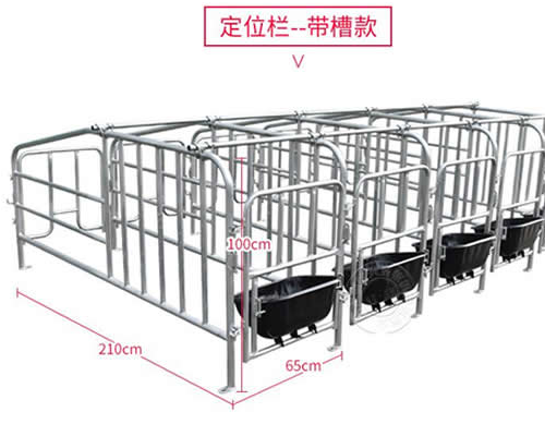 母猪限位栏的尺寸规格及安装介绍