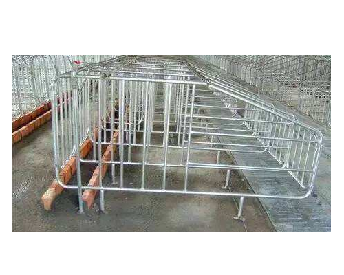 母猪限位栏的安装及猪舍设计