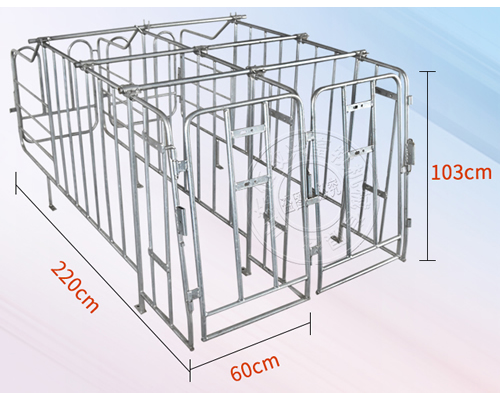热侵锌母猪定位栏的使用特点介绍