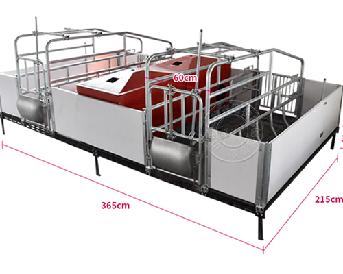 双体母猪产床的尺寸及价格是多少?