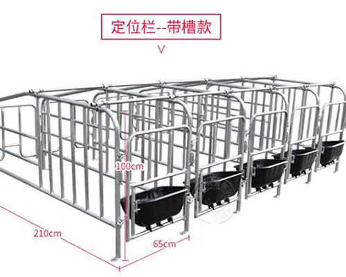 母猪定位栏的宽度多少合适?