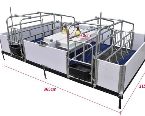双体母猪产床的尺寸及使用特点