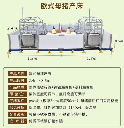 欧式双体母猪产床