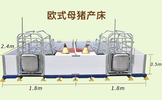 欧式母猪产床