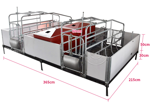 新型欧式母猪产床
