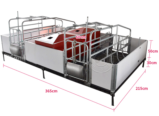 新型欧式母猪产床