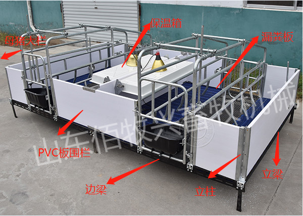 母猪产床安装