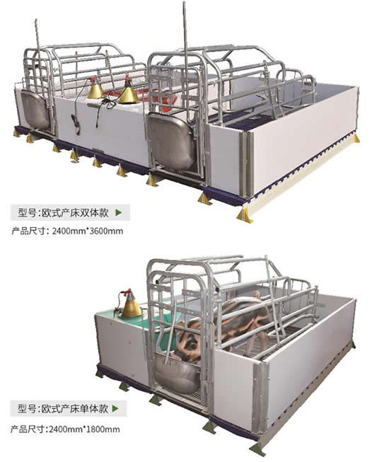 欧式母猪产床图片