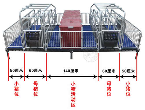 国标母猪产床