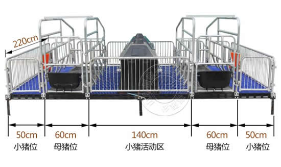 镀锌围栏母猪产床