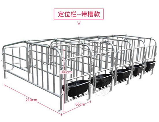 母猪定位栏尺寸