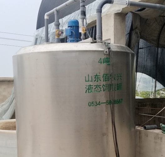 湖北武汉1000头育肥舍改粥料线喂猪