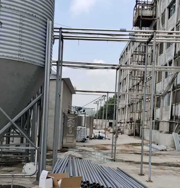 湖南娄底楼房猪场改粥料饲喂