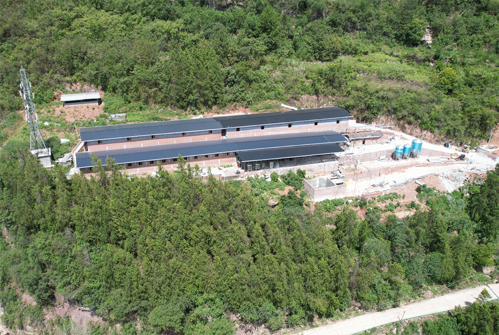 重庆云阳县2000头育肥场安装粥料线