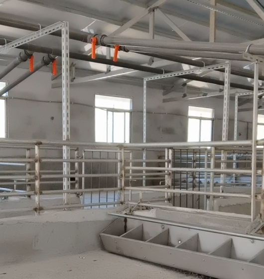 自繁自养场改粥料饲喂